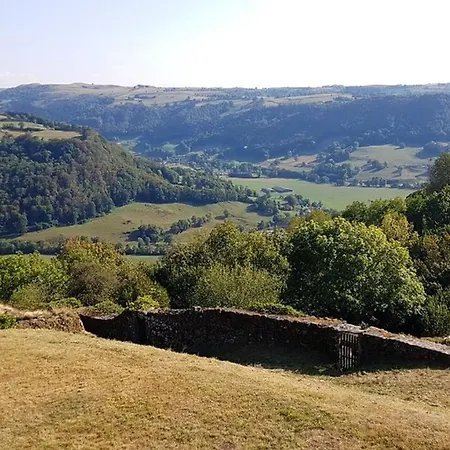Maison De 3 Chambres Avec Jardin Amenage A Anglards De Salers Anglards-de-Salers